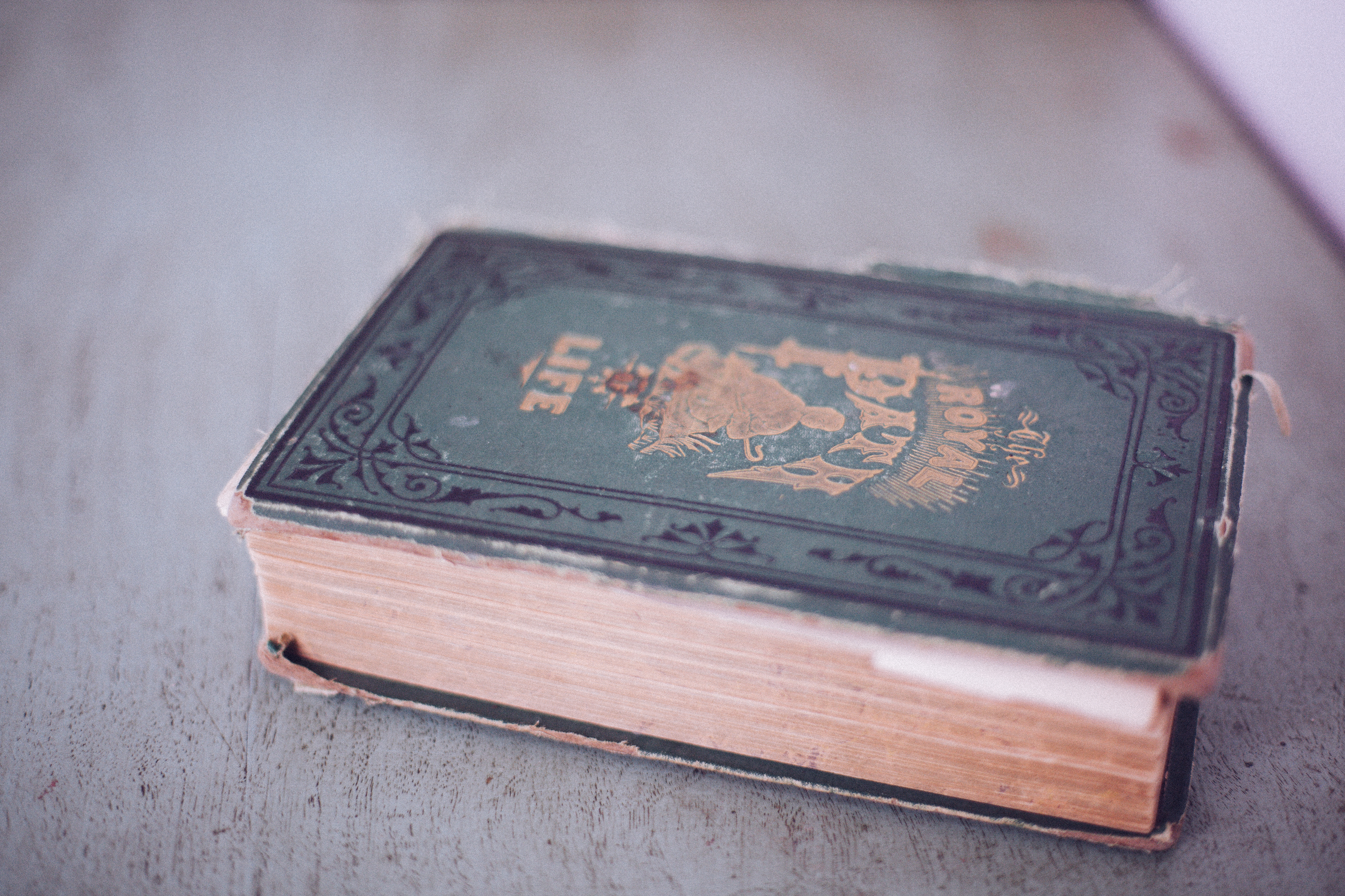 Listagram #2: cinque libri stupendissimi che ho letto nel 2014