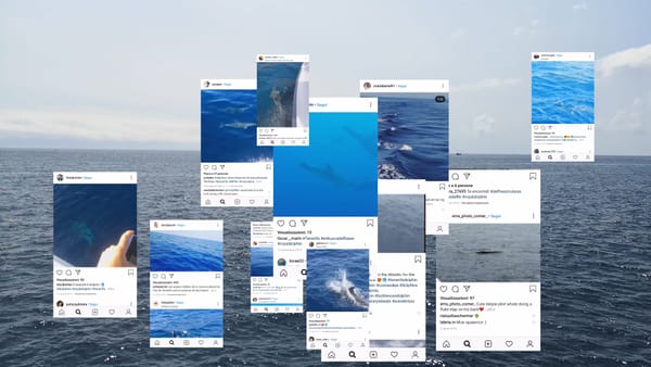 Screenshot di social sullo sfondo del mare. Fotogramma del video The Photo Hunters di Enrico Dedin.