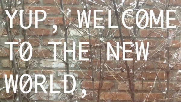 Un muro con scritta la frase: "Yup, welome to the new world."